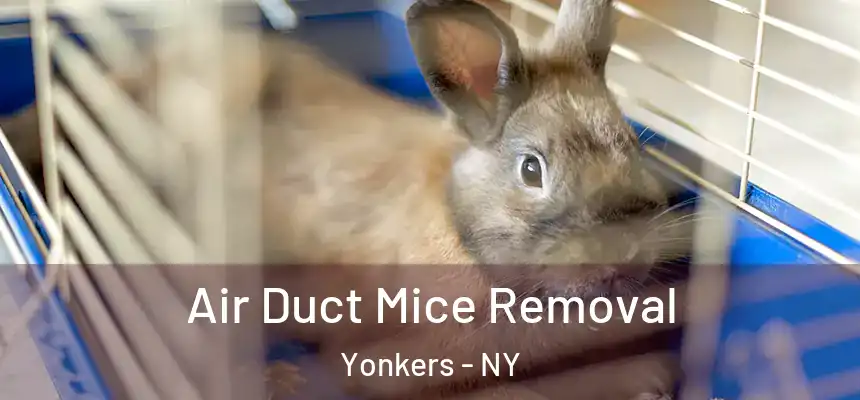  Air Duct Mice Removal Yonkers - NY
