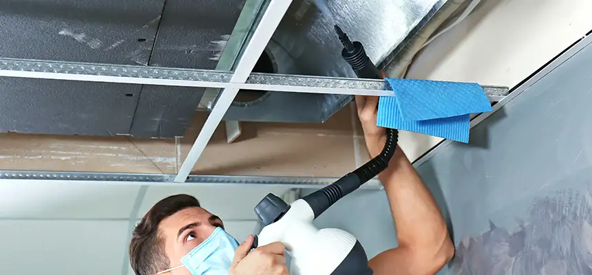 Our Air Duct Rodent Removal Services in Yonkers, NY
