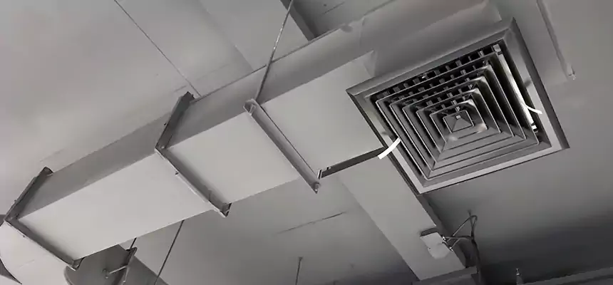 Restorative Allergy Relief Vent Cleaning – Coil, Blower & Housing Detail in Yonkers