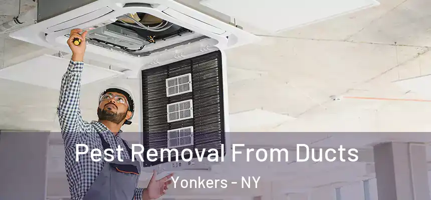  Pest Removal From Ducts Yonkers - NY
