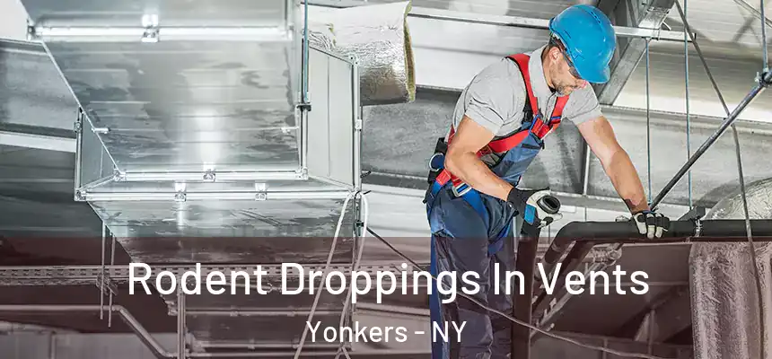  Rodent Droppings In Vents Yonkers - NY