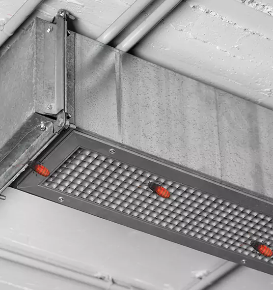 Affordable Insect Removal from Air Ducts in Yonkers, NY